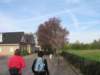 img_7383_small.jpg