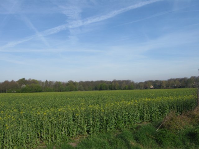 img_7390.jpg
