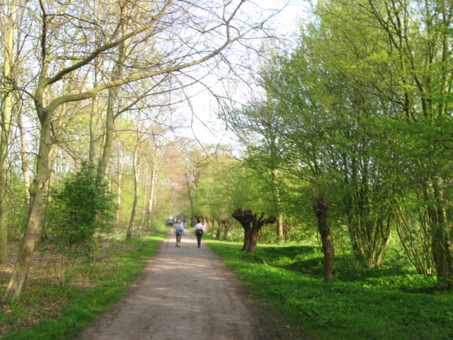 img_7392.jpg
