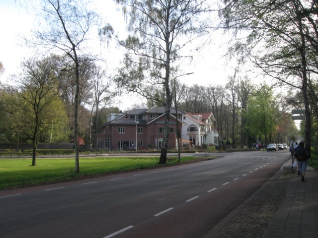 img_7398.jpg