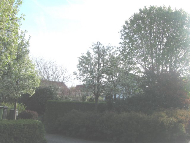 img_7403.jpg