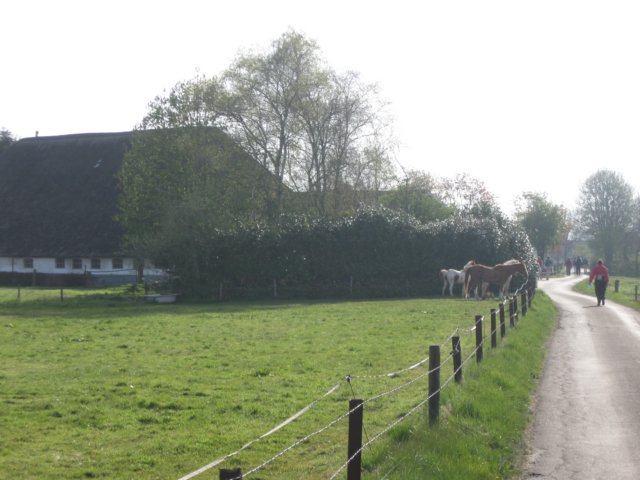 img_7410.jpg