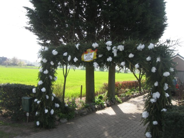 img_7414.jpg