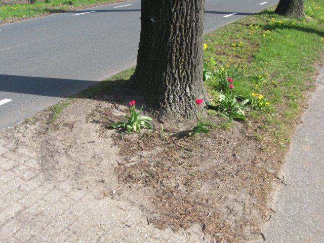 img_7415.jpg