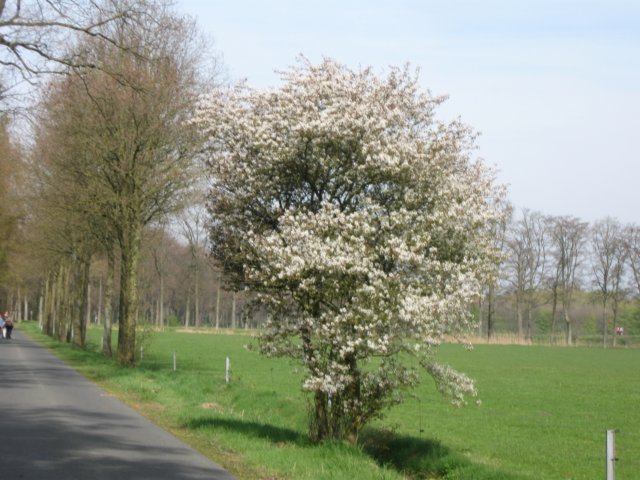 img_7428.jpg