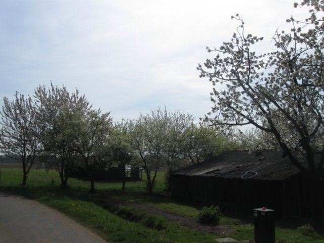 img_7438.jpg