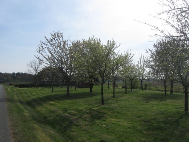 img_7439.jpg