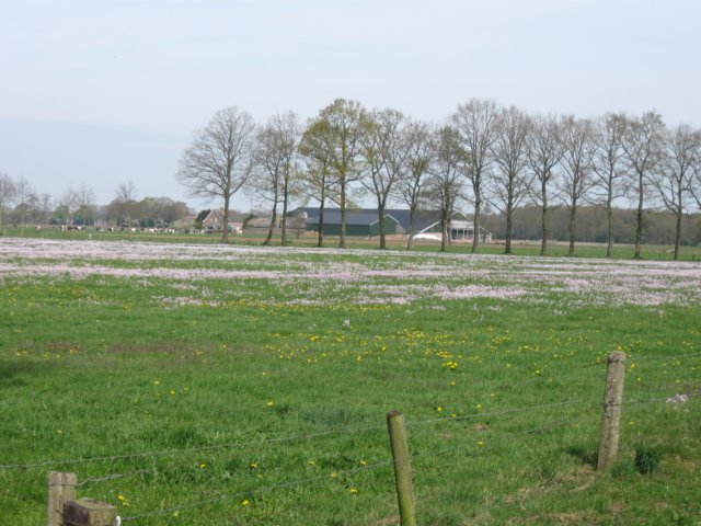 img_7440.jpg