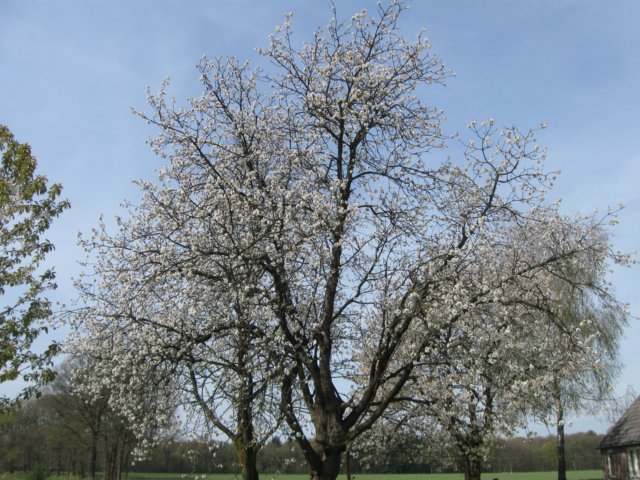 img_7453.jpg