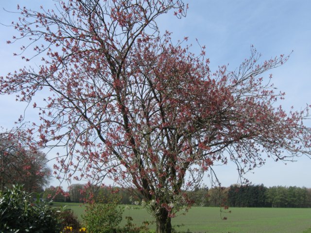 img_7455.jpg