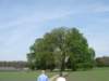 img_7456_small.jpg