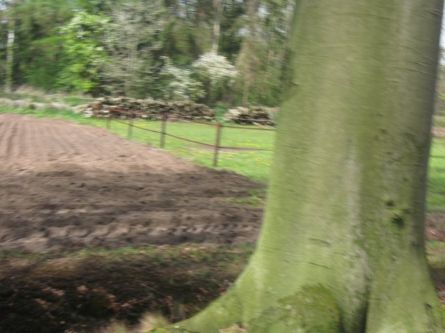 img_7465.jpg