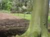 img_7465_small.jpg