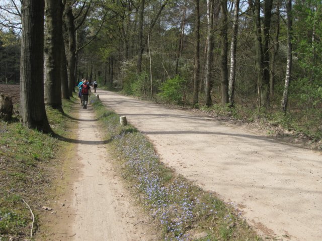 img_7467.jpg
