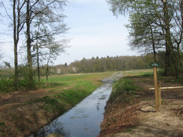 img_7468.jpg