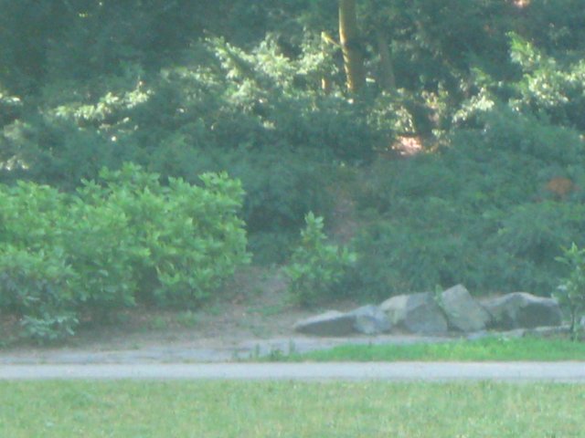 img_7960.jpg