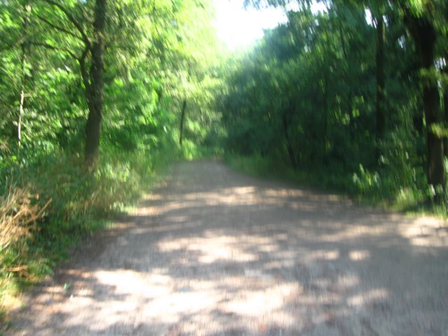 img_7974.jpg