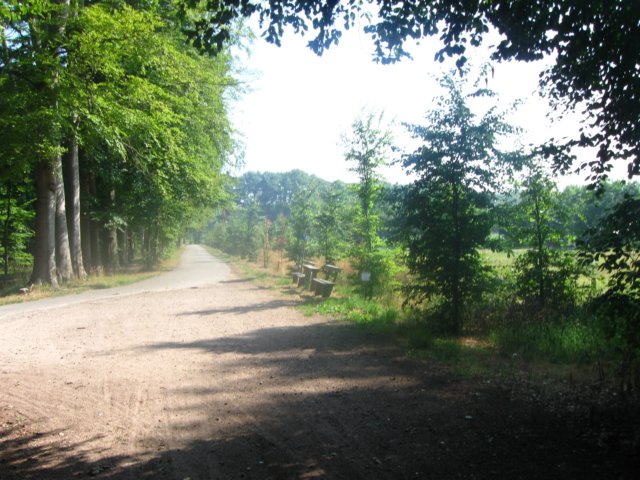 img_7978.jpg