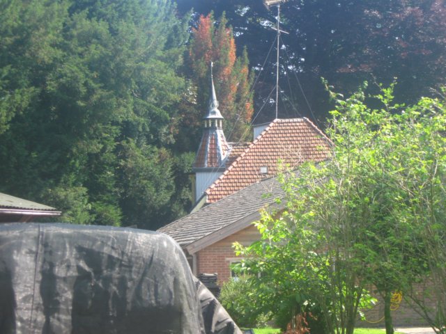 img_7981.jpg