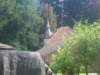img_7981_small.jpg