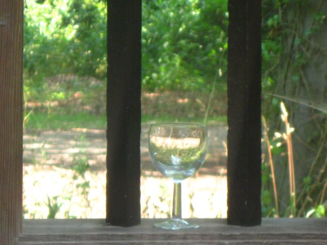 img_7991.jpg