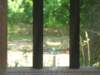 img_7991_small.jpg