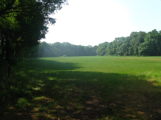 img_7993.jpg