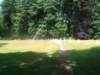 img_7994_small.jpg