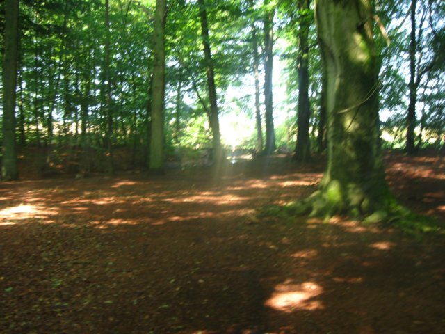 img_7996.jpg
