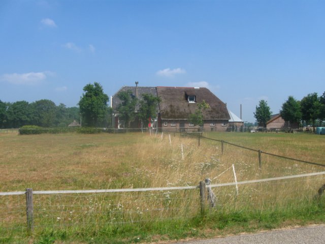 img_7997.jpg