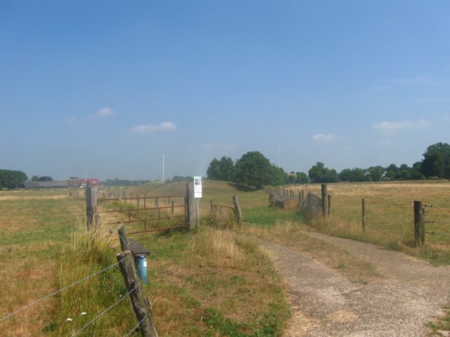 img_7998.jpg