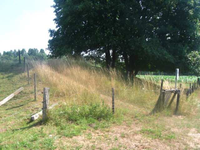 img_7999.jpg