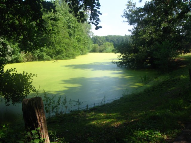 img_8001.jpg