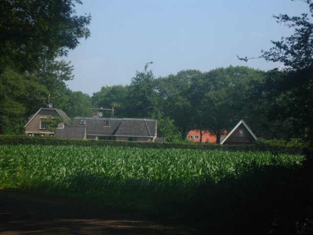 img_8004.jpg