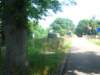 img_8006_small.jpg