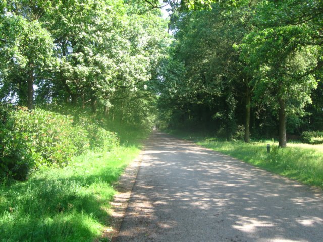 img_8009.jpg
