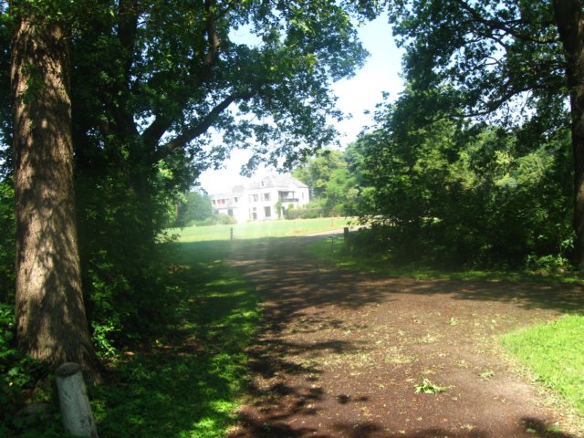img_8010.jpg