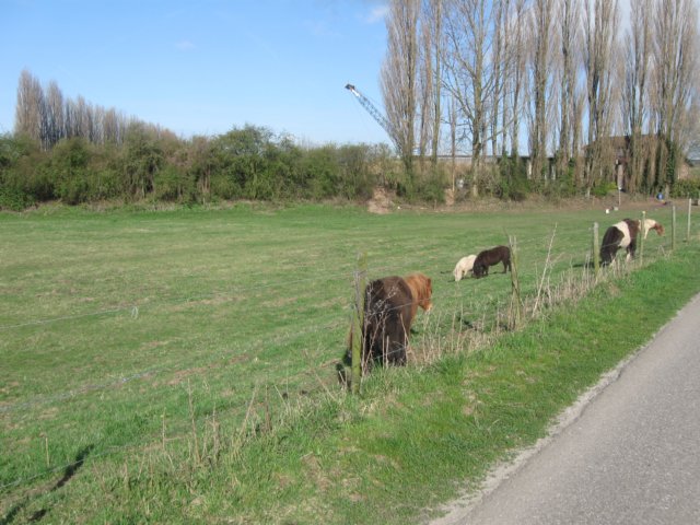 img_7165.jpg