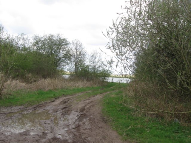 img_7167.jpg