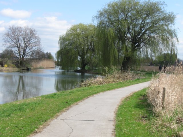 img_7230.jpg