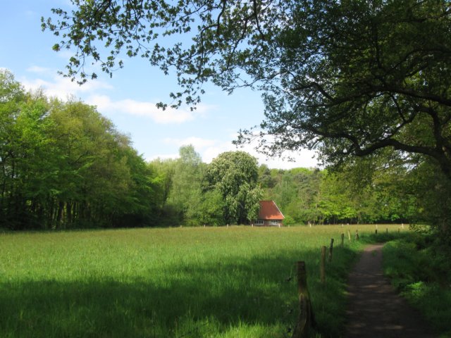 img_7482.jpg