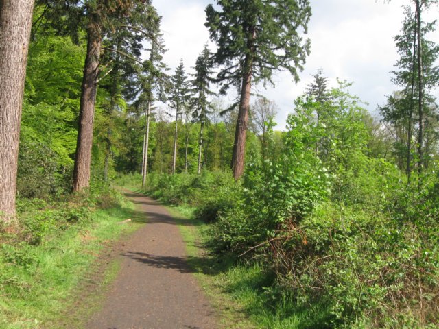 img_7486.jpg