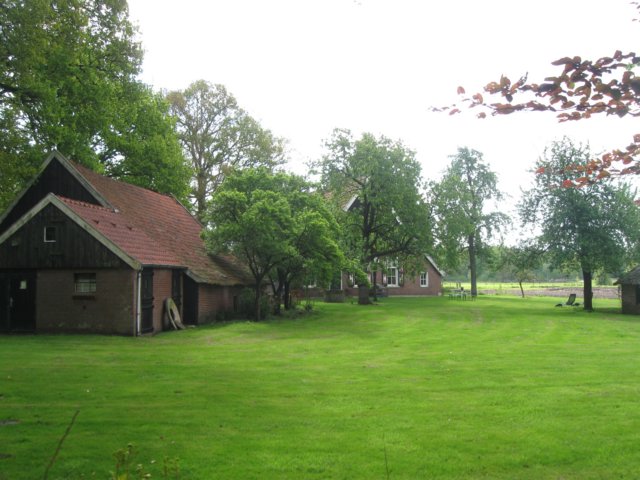 img_7487.jpg