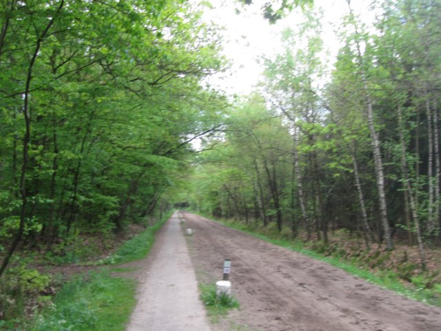 img_7490.jpg