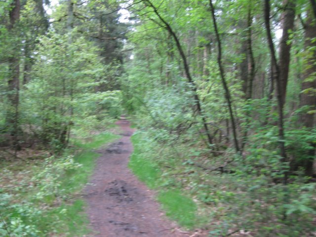 img_7491.jpg