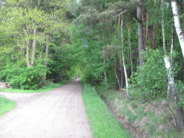 img_7492.jpg
