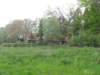 img_7494_small.jpg