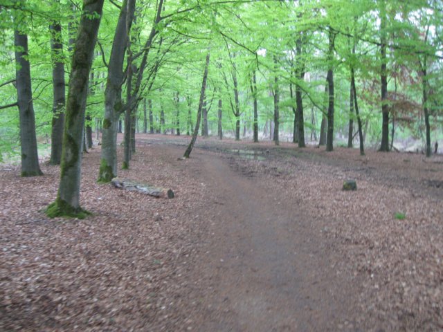 img_7497.jpg