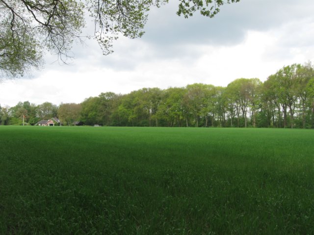 img_7503.jpg