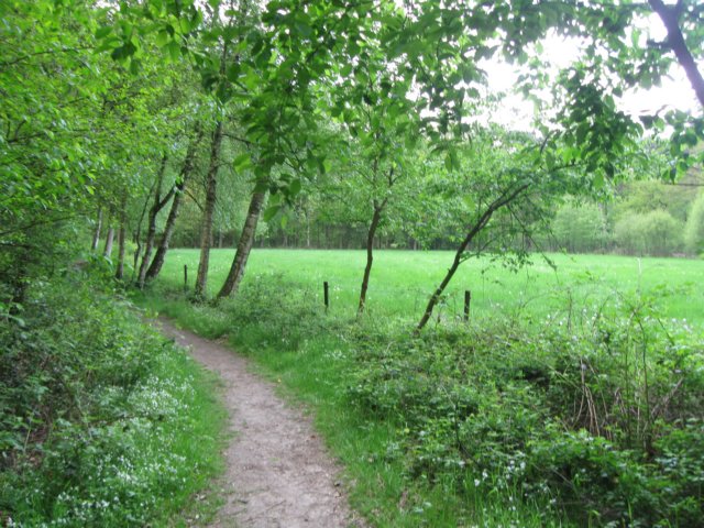 img_7506.jpg